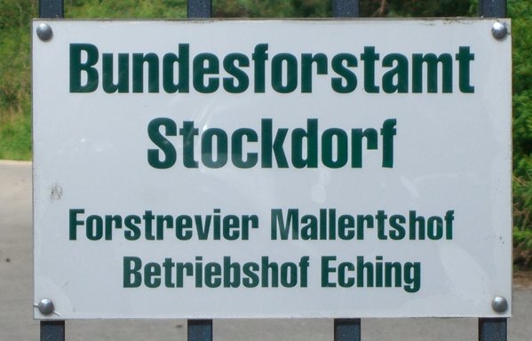 Bild